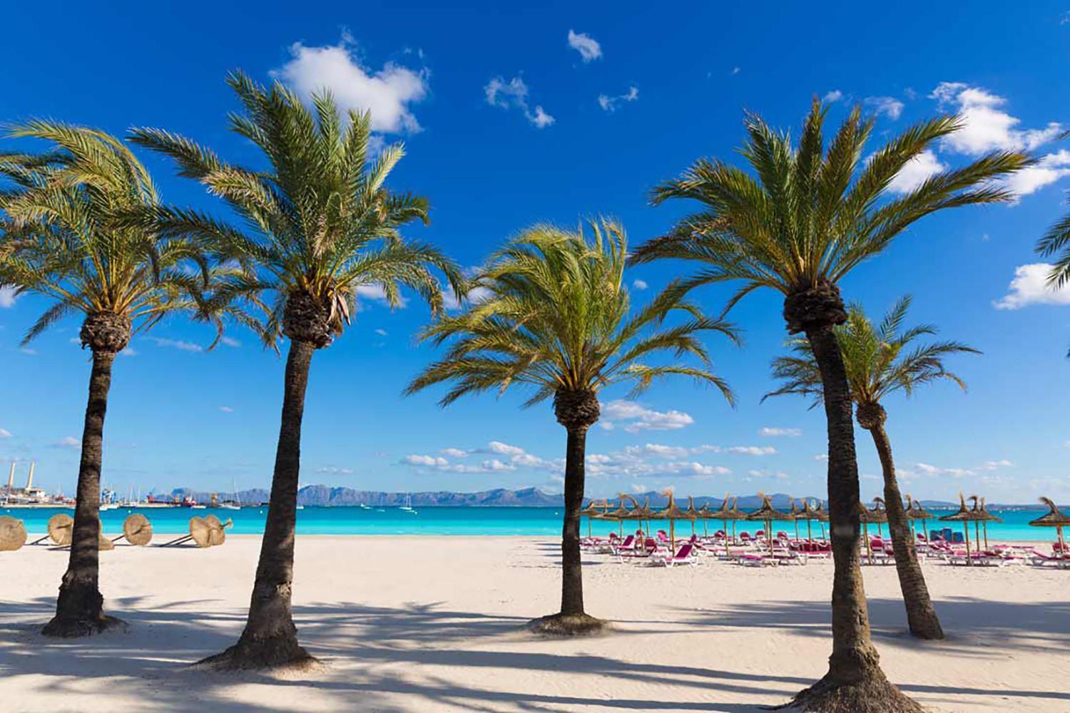 Apartamento Arcoiris, Con Piscina Y Junto A Playa De Alcudia Eksteriør bilde